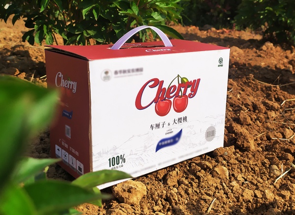 櫻桃、車?yán)遄佣Y盒